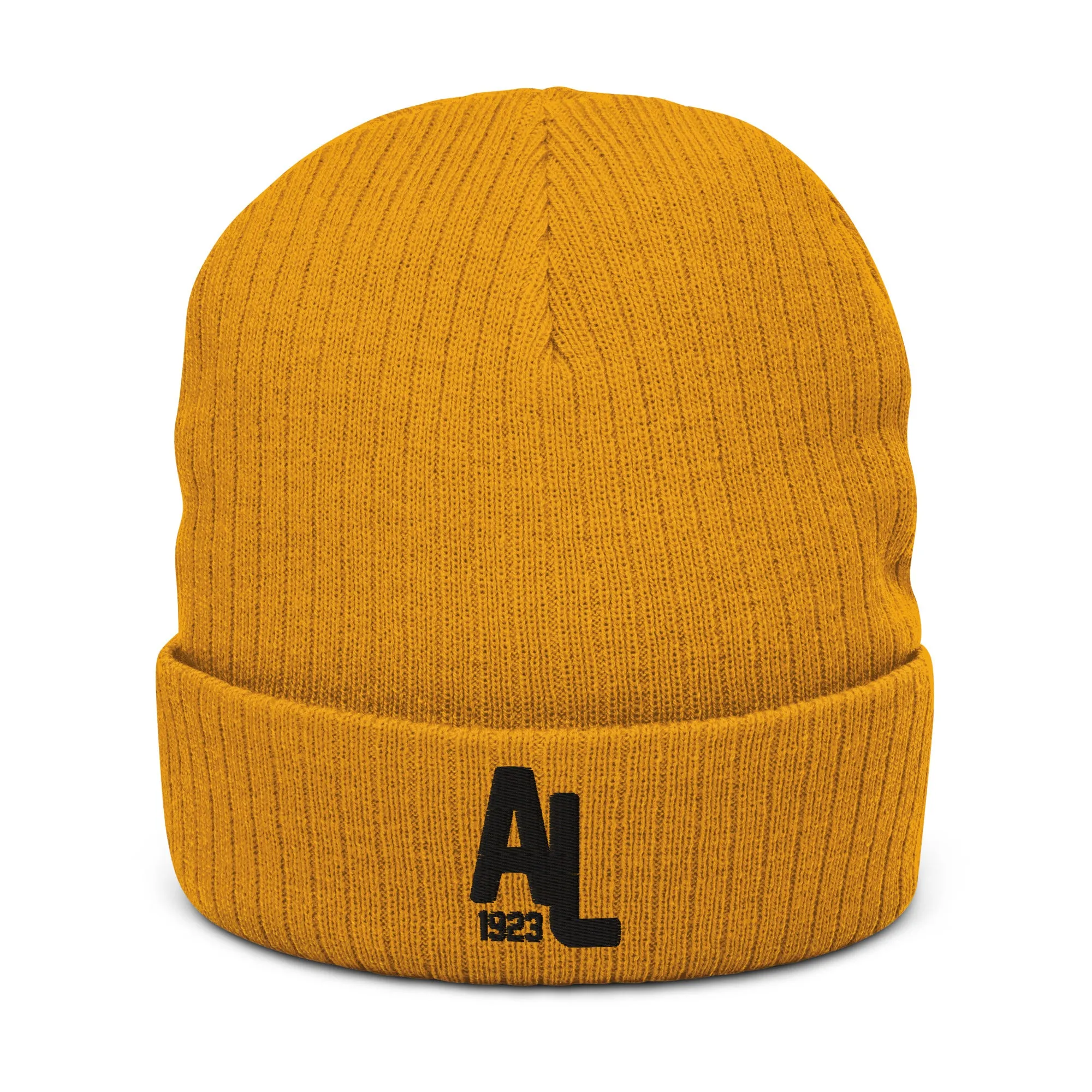 American Legacy® AL1923 Recycled Ribbed Beanie