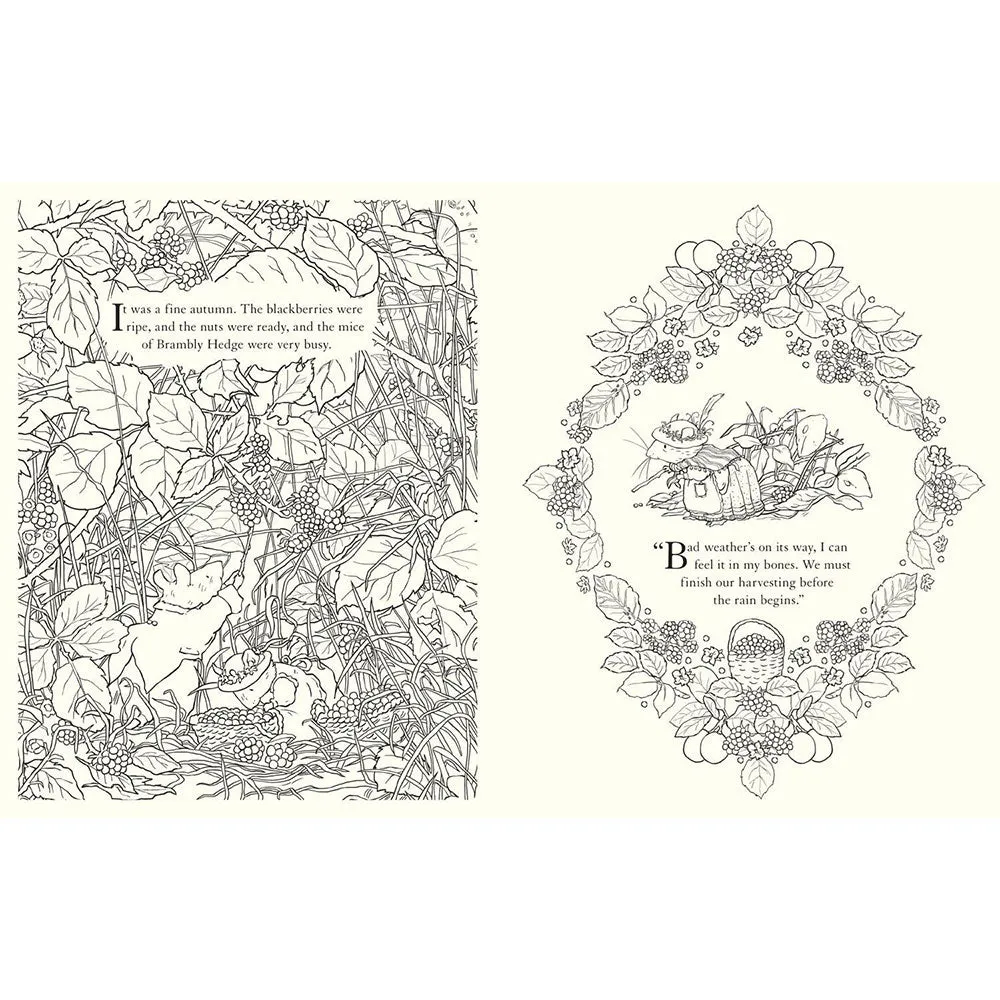 Brambly Hedge: Festive Colouring Book