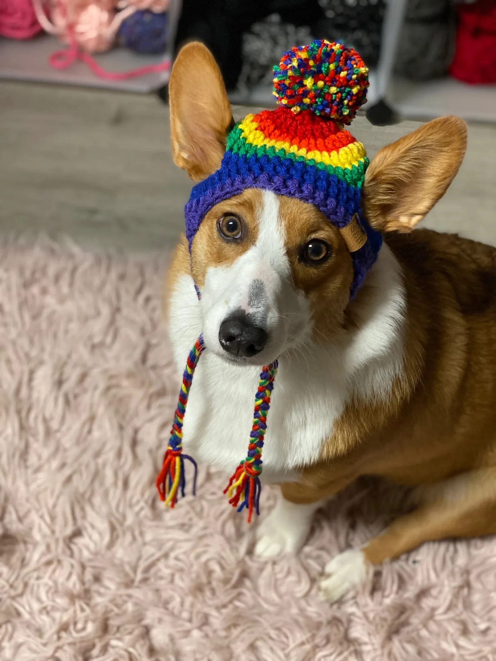 Pride Pupper Beanie