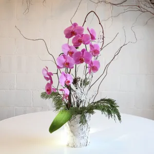 Stacy K Floral | Deluxe Winter Orchid