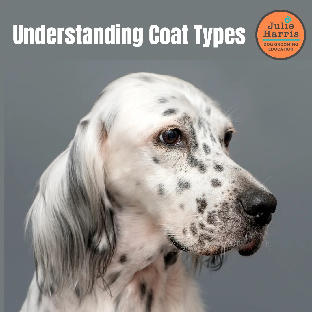 Understanding Coat Types Webinar